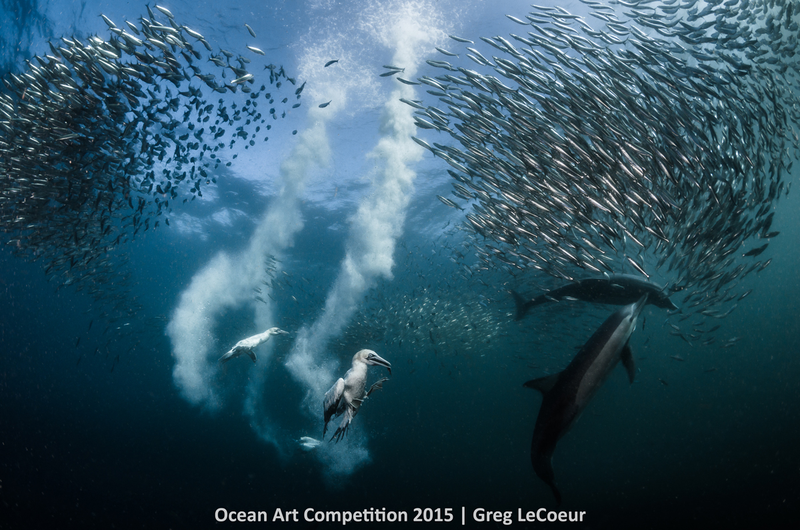 Illustration for article titled These Photos Show the Alien Beauty of Life Underwater